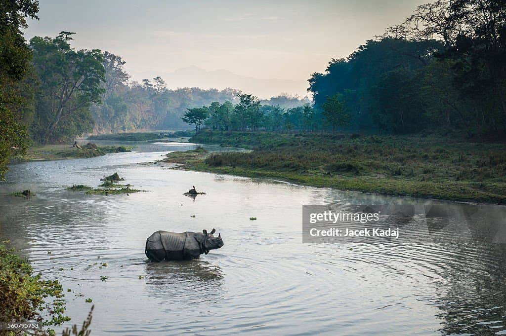 Chitwan National Park